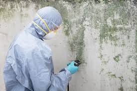 Best Environmental Consulting for Mold Prevention  in Marlton, MD